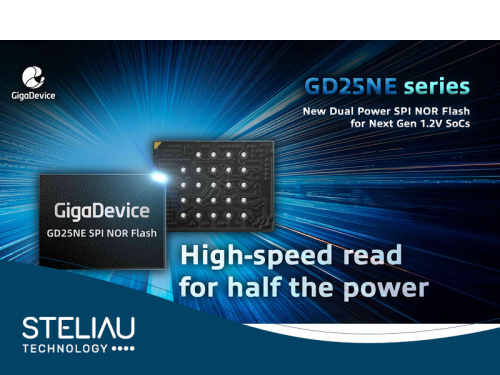 Gigadevice GD25NE series