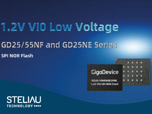 Giga Device_22 08 2025.png